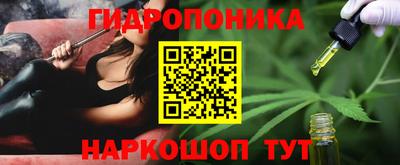 дмт Будённовск
