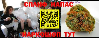 дмт Будённовск