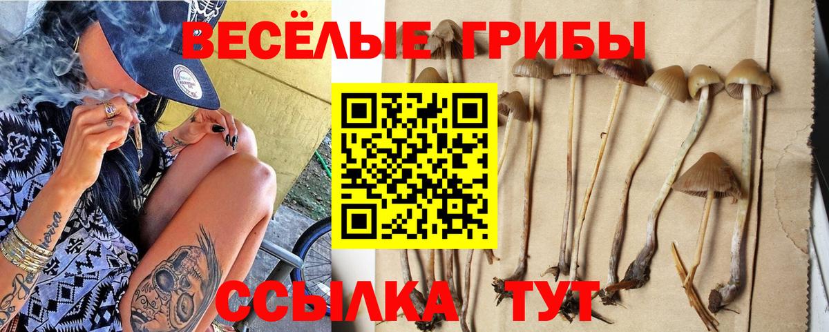Псилоцибиновые грибы Magic Shrooms Ступино